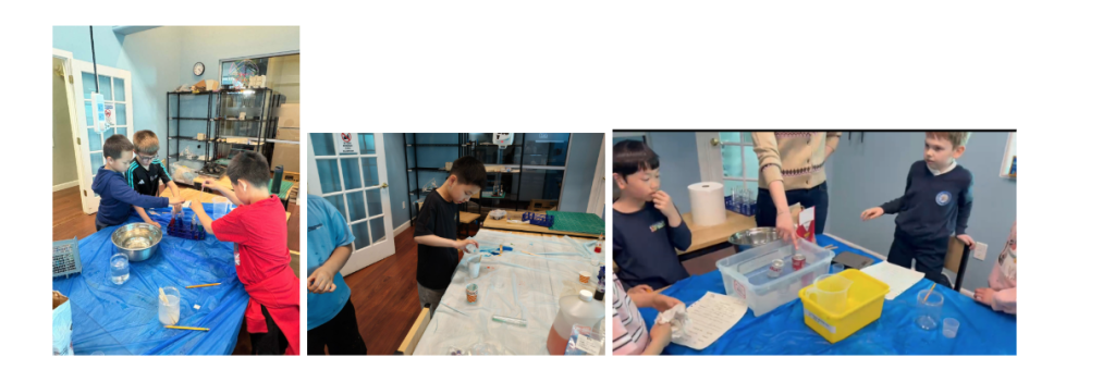 Observation and experimental processes